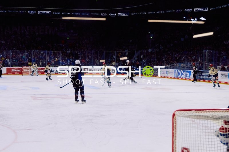 Adler Mannheim vs Schwenninger Wild Wings | 19.01.2024