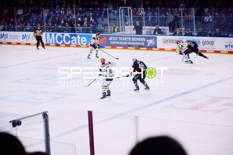 Adler Mannheim vs Schwenninger Wild Wings | 19.01.2024