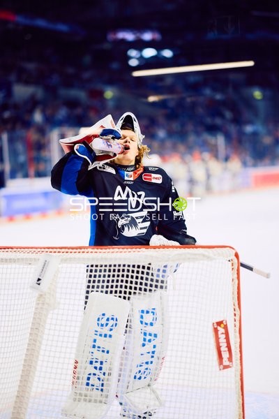 Adler Mannheim vs Schwenninger Wild Wings | 19.01.2024