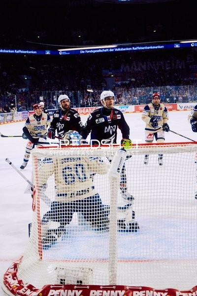 Adler Mannheim vs Schwenninger Wild Wings | 19.01.2024