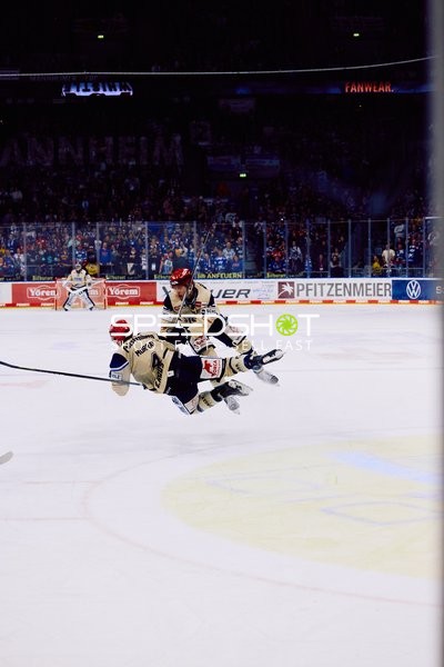 Adler Mannheim vs Schwenninger Wild Wings | 19.01.2024