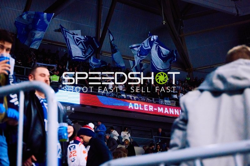 Adler Mannheim vs Schwenninger Wild Wings | 19.01.2024