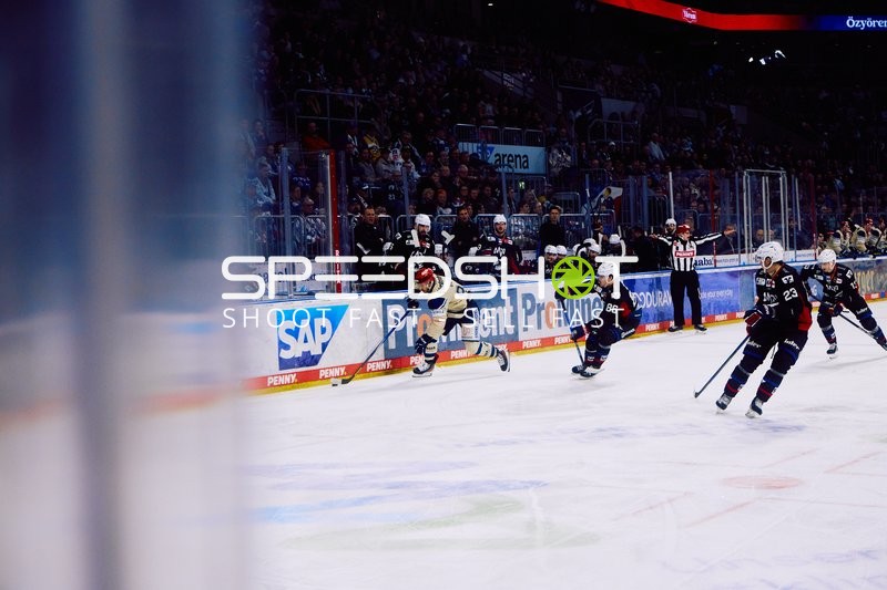 Adler Mannheim vs Schwenninger Wild Wings | 19.01.2024