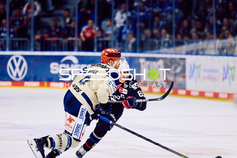 Adler Mannheim vs Schwenninger Wild Wings | 19.01.2024