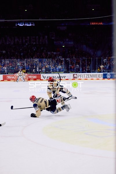Adler Mannheim vs Schwenninger Wild Wings | 19.01.2024