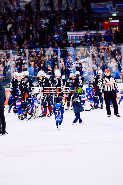 Adler Mannheim vs Schwenninger Wild Wings | 19.01.2024