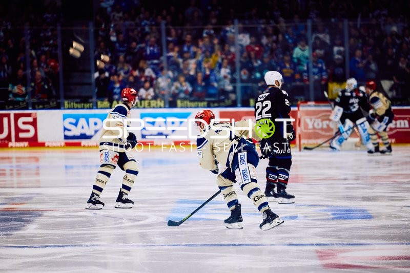 Adler Mannheim vs Schwenninger Wild Wings | 19.01.2024