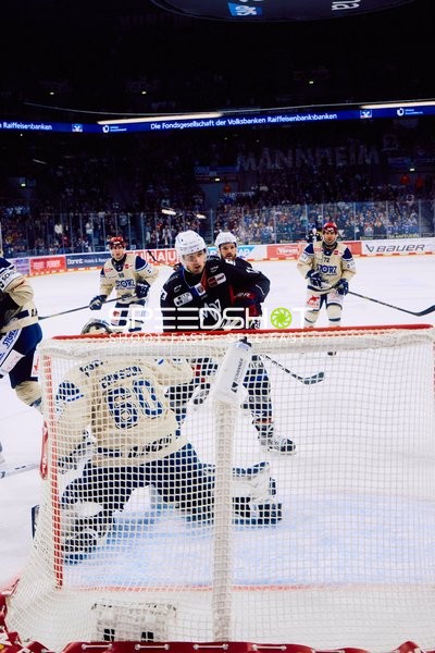 Adler Mannheim vs Schwenninger Wild Wings | 19.01.2024