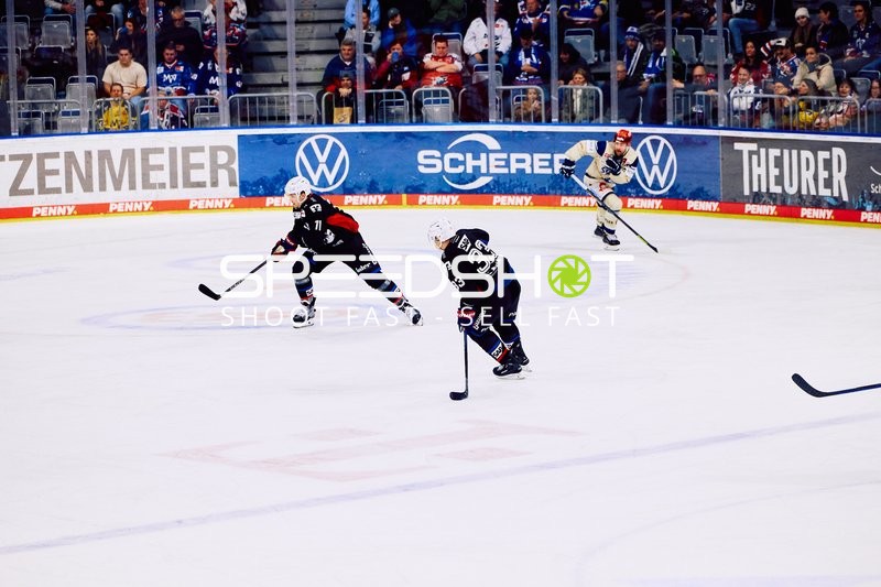 Adler Mannheim vs Schwenninger Wild Wings | 19.01.2024