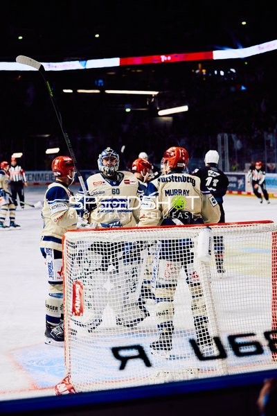 Adler Mannheim vs Schwenninger Wild Wings | 19.01.2024