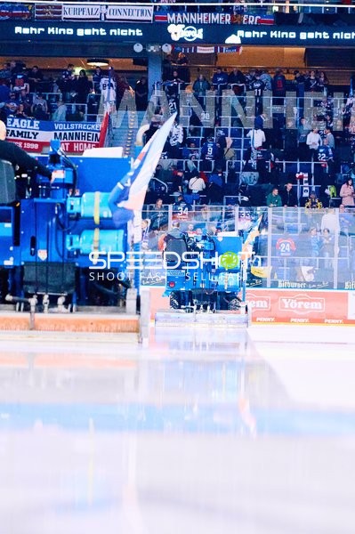 Adler Mannheim vs Schwenninger Wild Wings | 19.01.2024