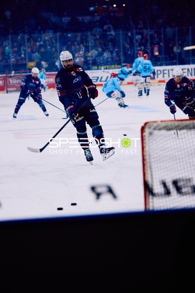 Adler Mannheim vs Schwenninger Wild Wings | 19.01.2024
