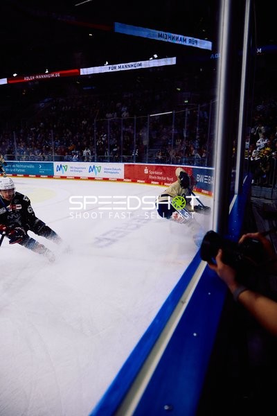 Adler Mannheim vs Schwenninger Wild Wings | 19.01.2024