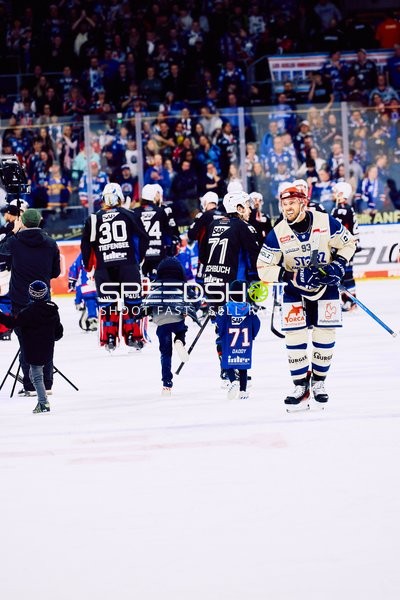 Adler Mannheim vs Schwenninger Wild Wings | 19.01.2024