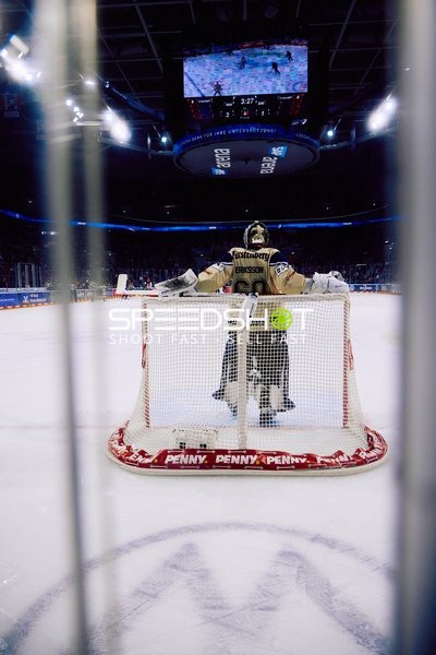 Adler Mannheim vs Schwenninger Wild Wings | 19.01.2024