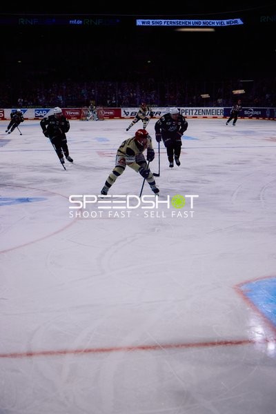 Adler Mannheim vs Schwenninger Wild Wings | 19.01.2024