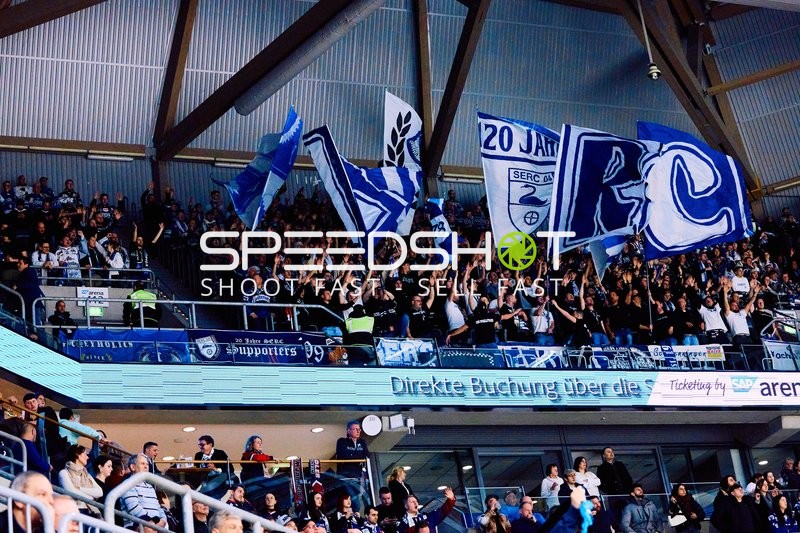 Adler Mannheim vs Schwenninger Wild Wings | 19.01.2024