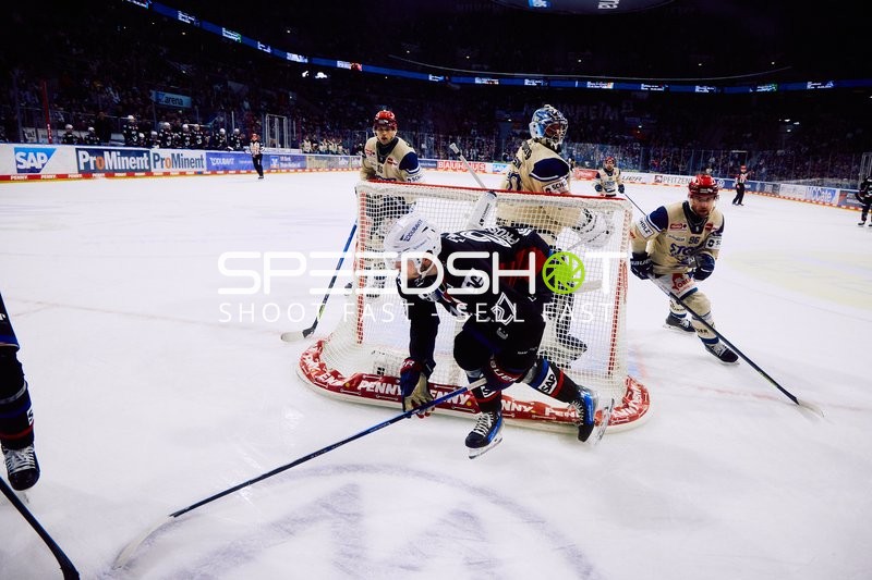 Adler Mannheim vs Schwenninger Wild Wings | 19.01.2024