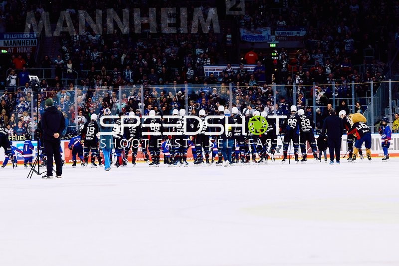 Adler Mannheim vs Schwenninger Wild Wings | 19.01.2024