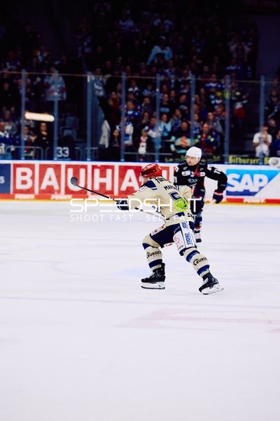 Adler Mannheim vs Schwenninger Wild Wings | 19.01.2024