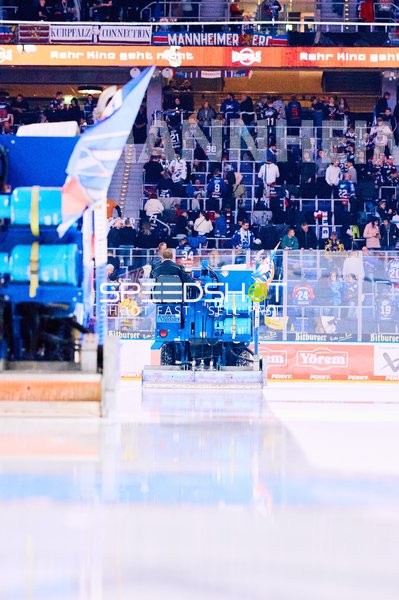 Adler Mannheim vs Schwenninger Wild Wings | 19.01.2024