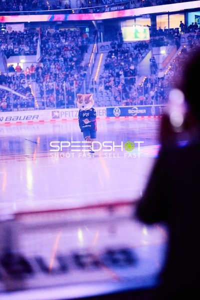 Adler Mannheim vs Schwenninger Wild Wings | 19.01.2024