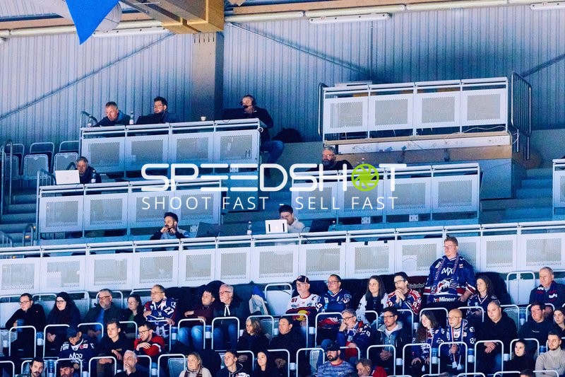 Adler Mannheim vs Schwenninger Wild Wings | 19.01.2024