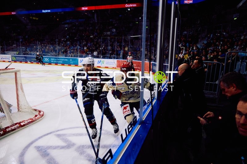 Adler Mannheim vs Schwenninger Wild Wings | 19.01.2024