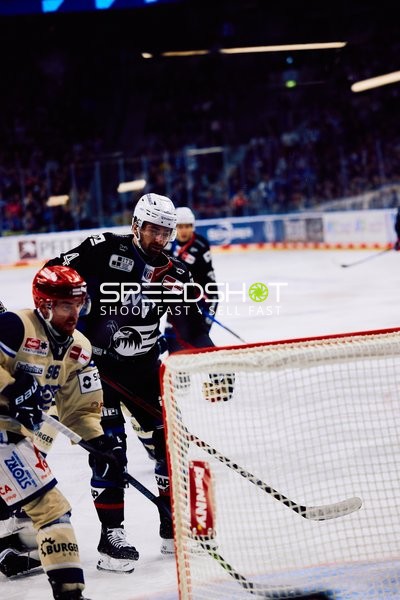 Adler Mannheim vs Schwenninger Wild Wings | 19.01.2024
