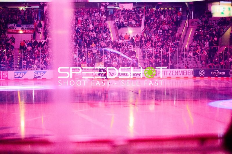 Adler Mannheim vs Schwenninger Wild Wings | 19.01.2024
