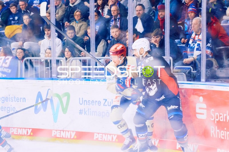 Adler Mannheim vs Schwenninger Wild Wings | 19.01.2024