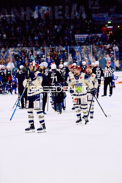 Adler Mannheim vs Schwenninger Wild Wings | 19.01.2024