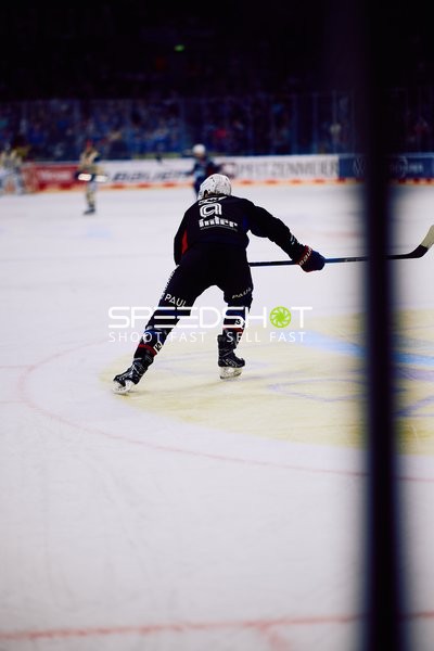 Adler Mannheim vs Schwenninger Wild Wings | 19.01.2024