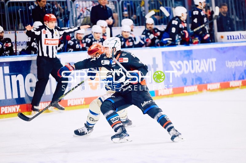 Adler Mannheim vs Schwenninger Wild Wings | 19.01.2024