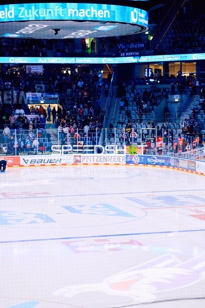 Adler Mannheim vs Schwenninger Wild Wings | 19.01.2024