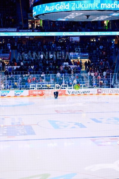 Adler Mannheim vs Schwenninger Wild Wings | 19.01.2024