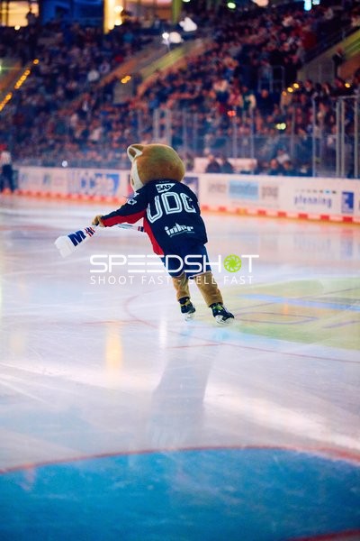 Adler Mannheim vs Schwenninger Wild Wings | 19.01.2024