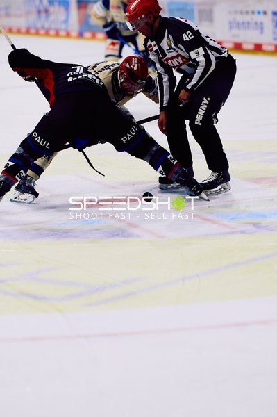 Adler Mannheim vs Schwenninger Wild Wings | 19.01.2024