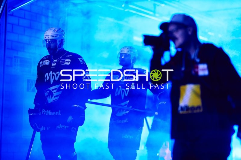 Adler Mannheim vs Schwenninger Wild Wings | 19.01.2024