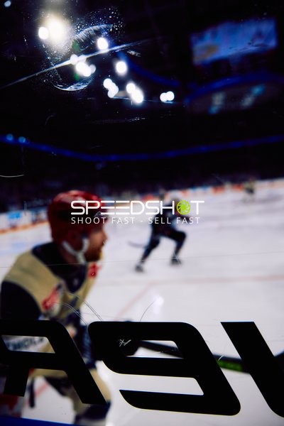 Adler Mannheim vs Schwenninger Wild Wings | 19.01.2024