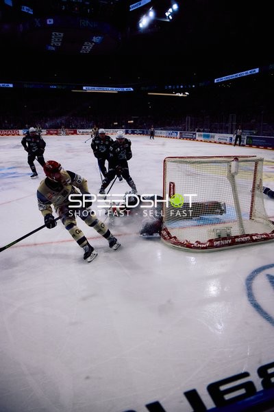 Adler Mannheim vs Schwenninger Wild Wings | 19.01.2024