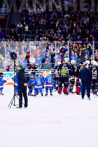 Adler Mannheim vs Schwenninger Wild Wings | 19.01.2024
