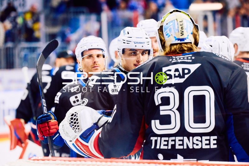 Adler Mannheim vs Schwenninger Wild Wings | 19.01.2024