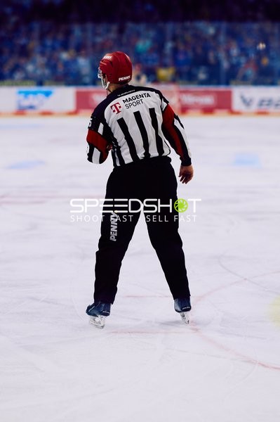 Adler Mannheim vs Schwenninger Wild Wings | 19.01.2024