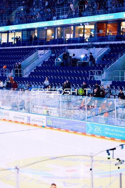 Adler Mannheim vs Schwenninger Wild Wings | 19.01.2024