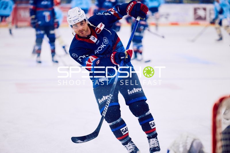 Adler Mannheim vs Schwenninger Wild Wings | 19.01.2024