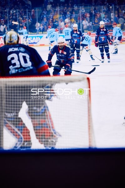 Adler Mannheim vs Schwenninger Wild Wings | 19.01.2024
