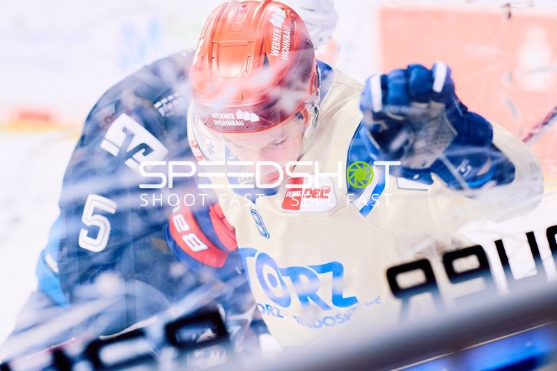 Adler Mannheim vs Schwenninger Wild Wings | 19.01.2024