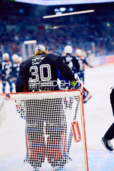 Adler Mannheim vs Schwenninger Wild Wings | 19.01.2024
