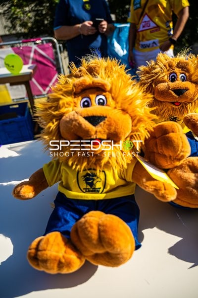 Handball I Herren I Saison 2024-2025 I Daikin Handballbundesliga I Testspiel I Rhein-Neckar Löwen - TV Großwallstadt I 23.08.2024